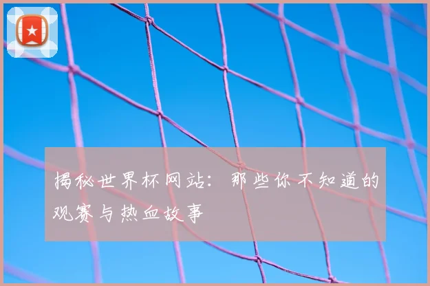 揭秘世界杯网站：那些你不知道的观赛与热血故事