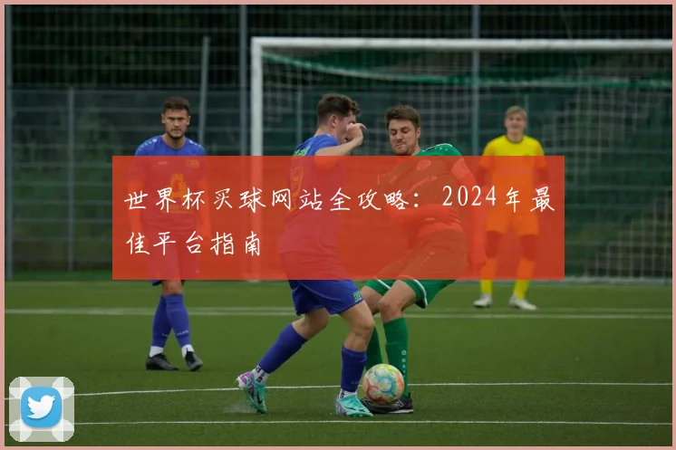 世界杯买球网站全攻略：2024年最佳平台指南