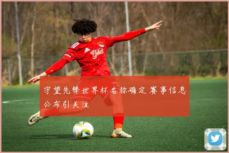 守望先锋世界杯名称确定 赛事信息公布引关注