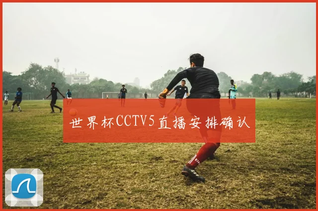 世界杯CCTV5直播安排确认
