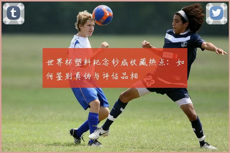 世界杯塑料纪念钞成收藏热点：如何鉴别真伪与评估品相