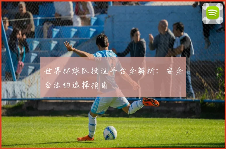 世界杯球队投注平台全解析：安全合法的选择指南
