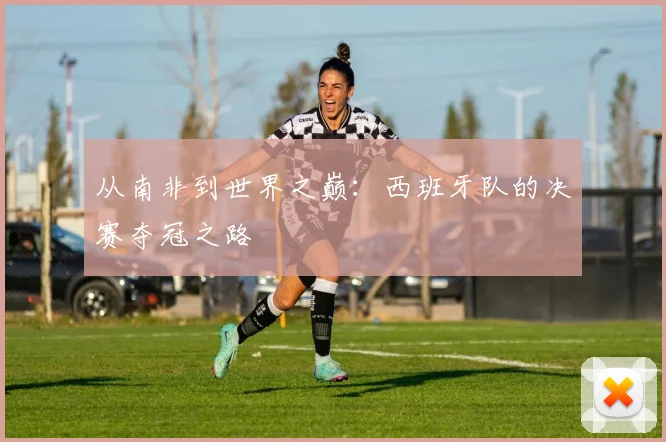 从南非到世界之巅：西班牙队的决赛夺冠之路