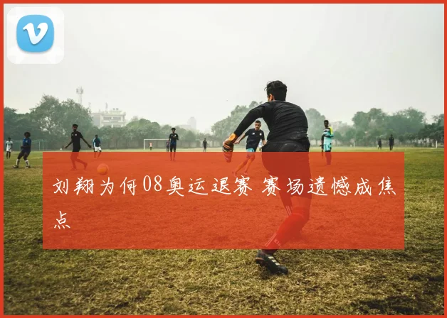 刘翔为何08奥运退赛 赛场遗憾成焦点