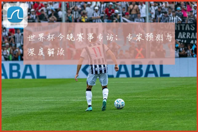 世界杯今晚赛事专访：专家预测与深度解读