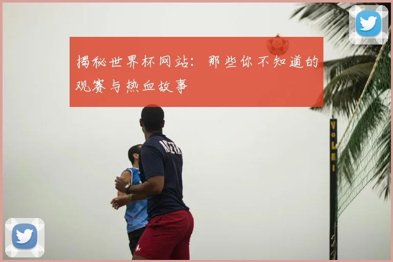 揭秘世界杯网站：那些你不知道的观赛与热血故事